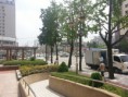 /album/photos-of-seoul/a20130724-130444-jpg/