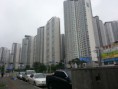 /album/photos-of-seoul/a20130728-114218-jpg/